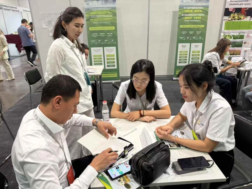 Weixin-Image_2025-09-08_090000_888-1024x768 (1)